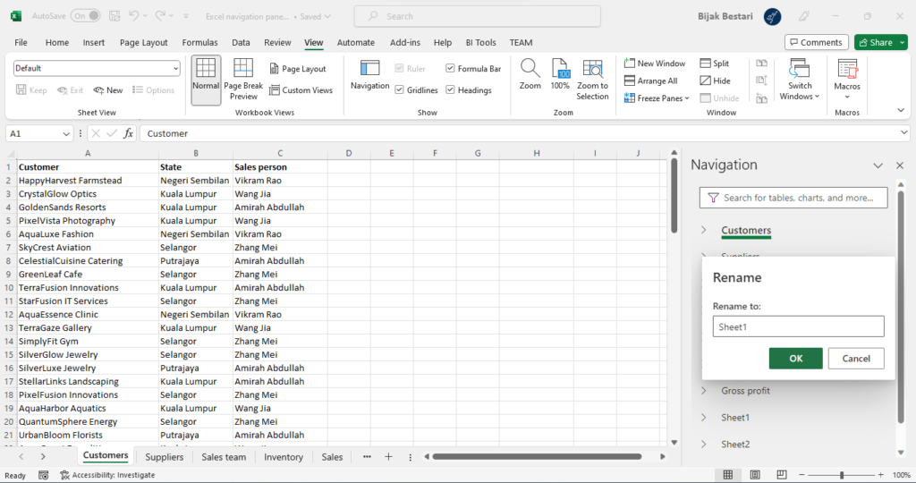 excel navigation pane rename worksheet