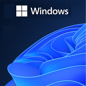 Microsoft Windows
